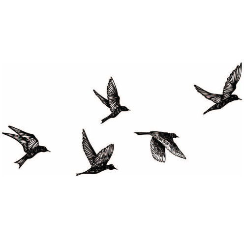 fly south