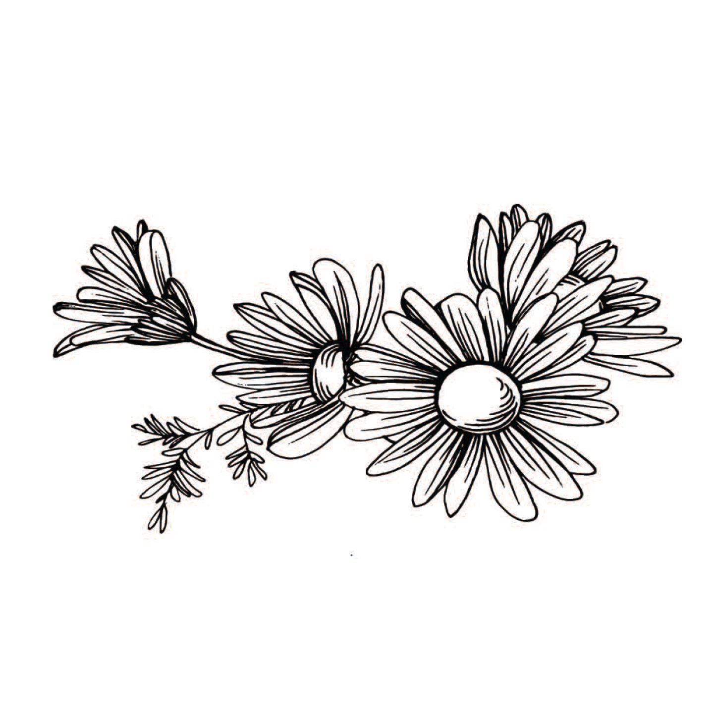 daisies (set of 2)