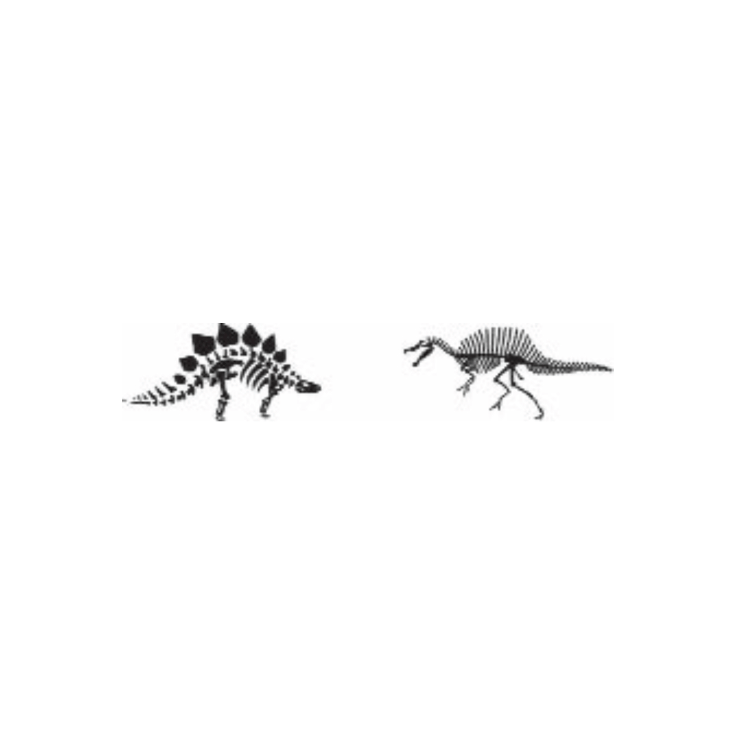 dinos (2 sets of 2)