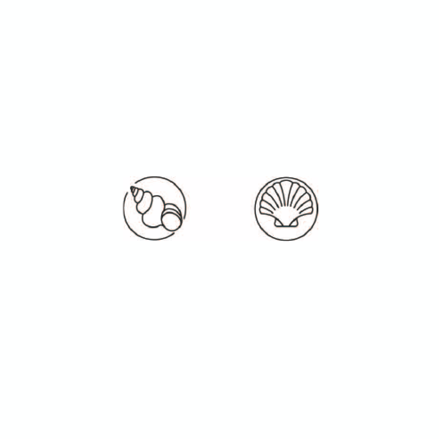 finger shells (2 sets of two)