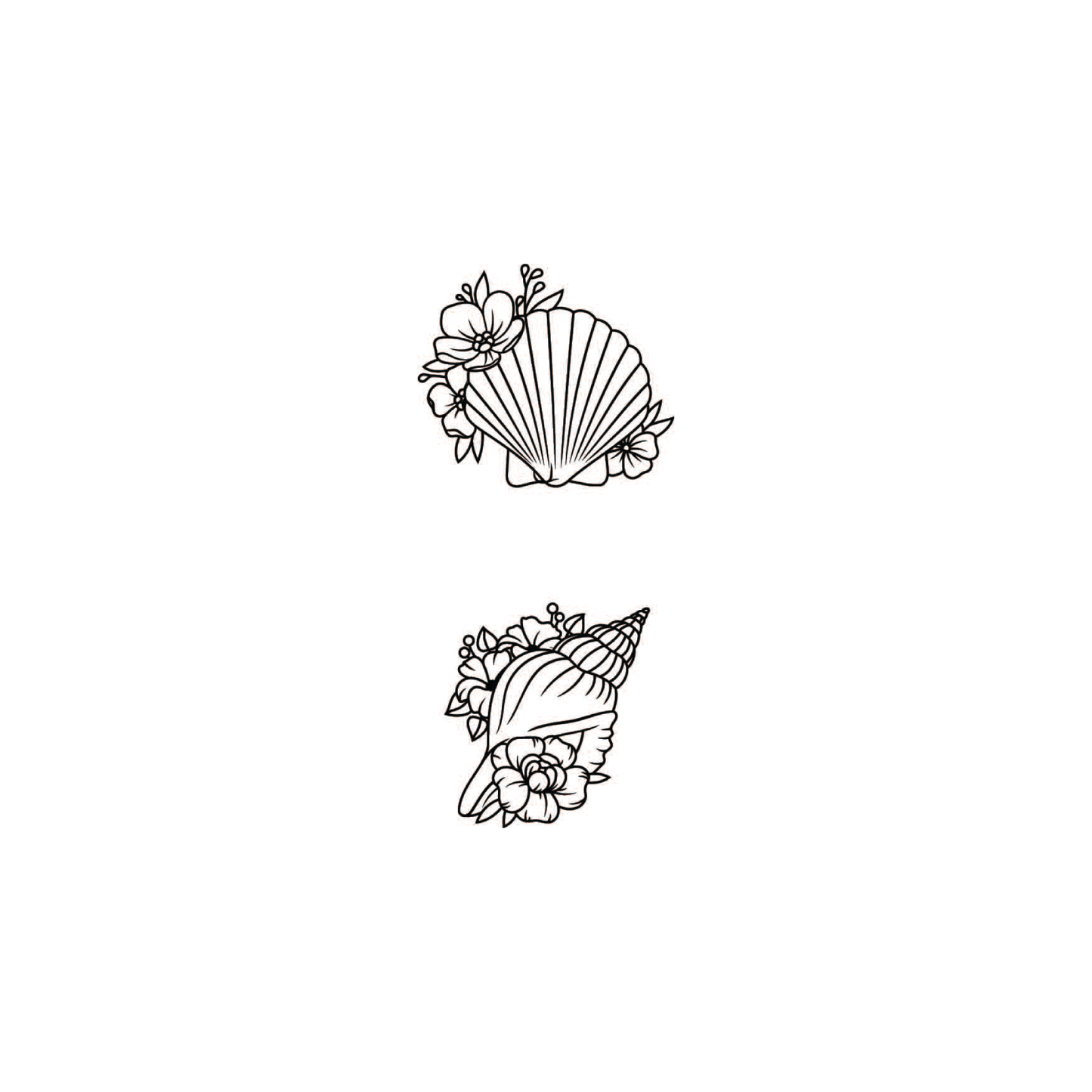 seashells by the seashore (2 sets of 2)