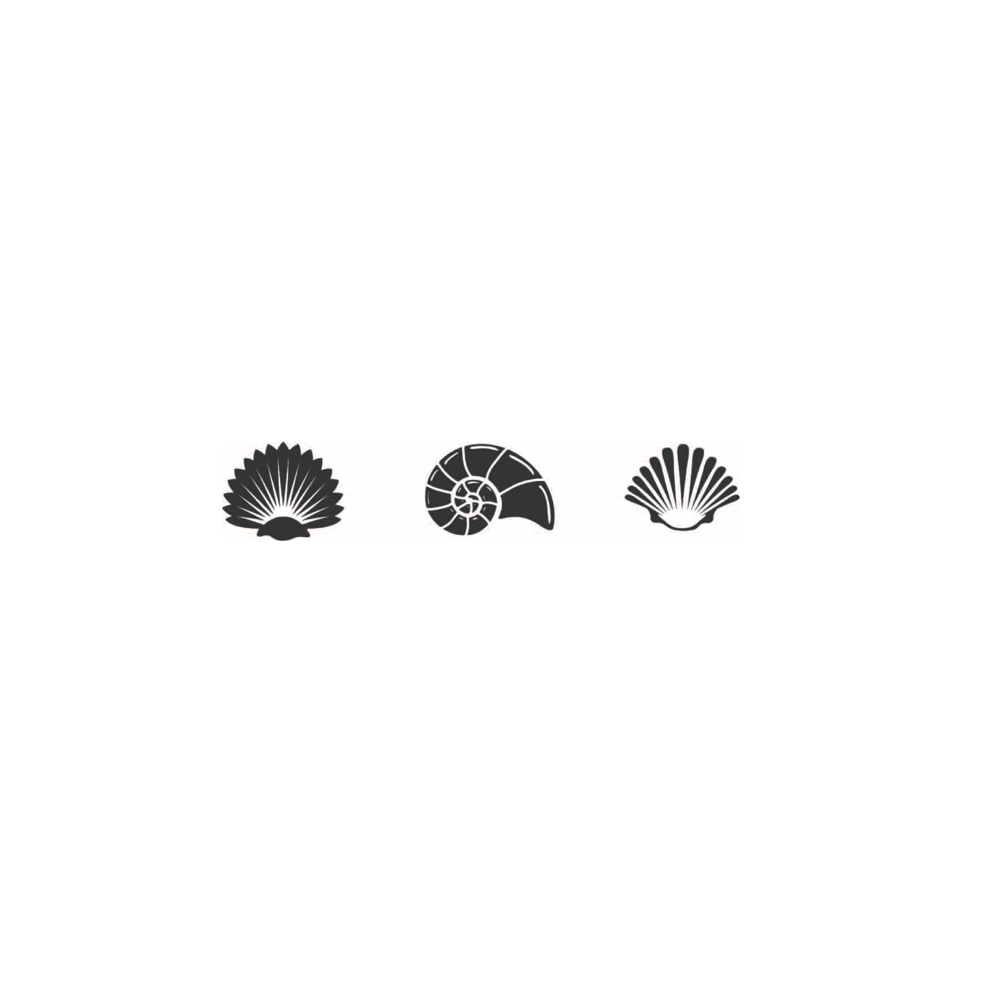little black shells (2 sets of 3)