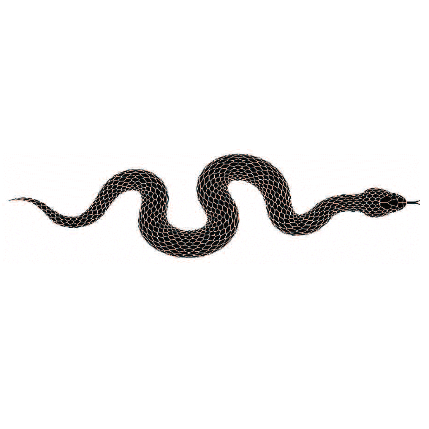 slither