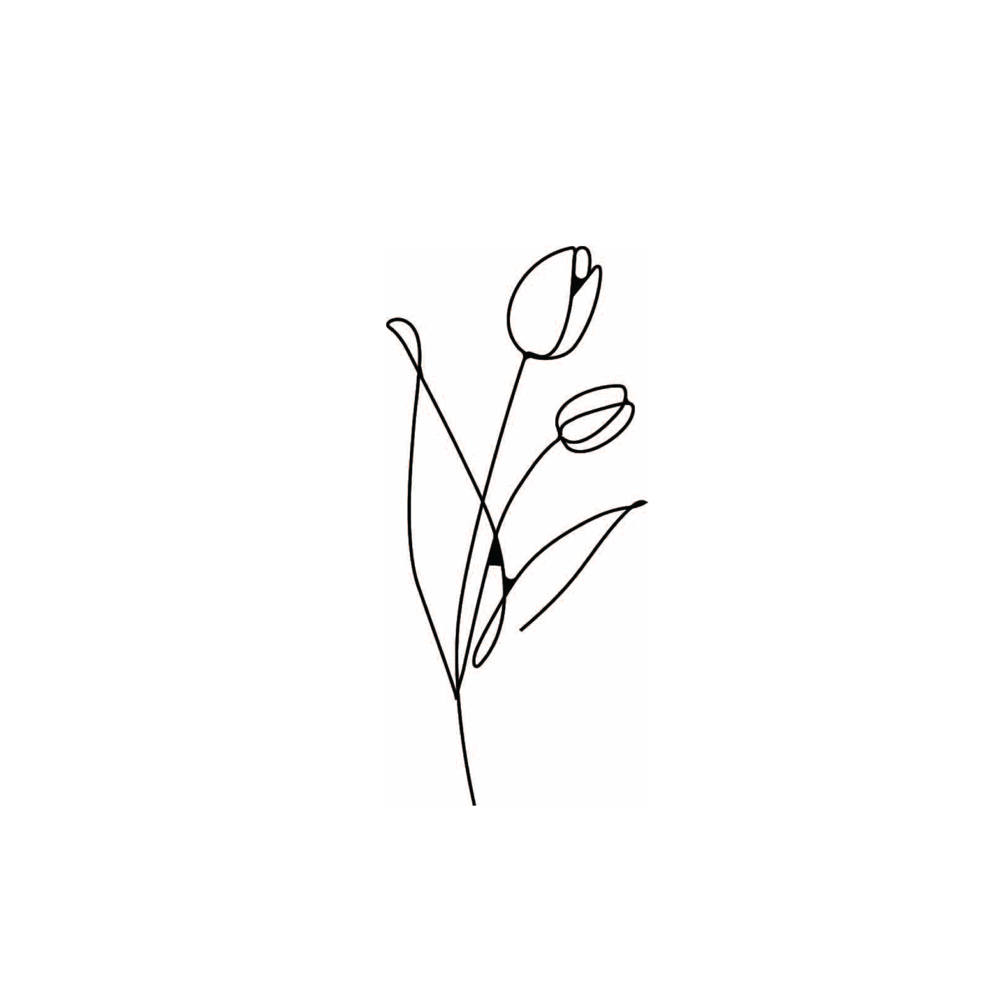 tulip (set of 2)