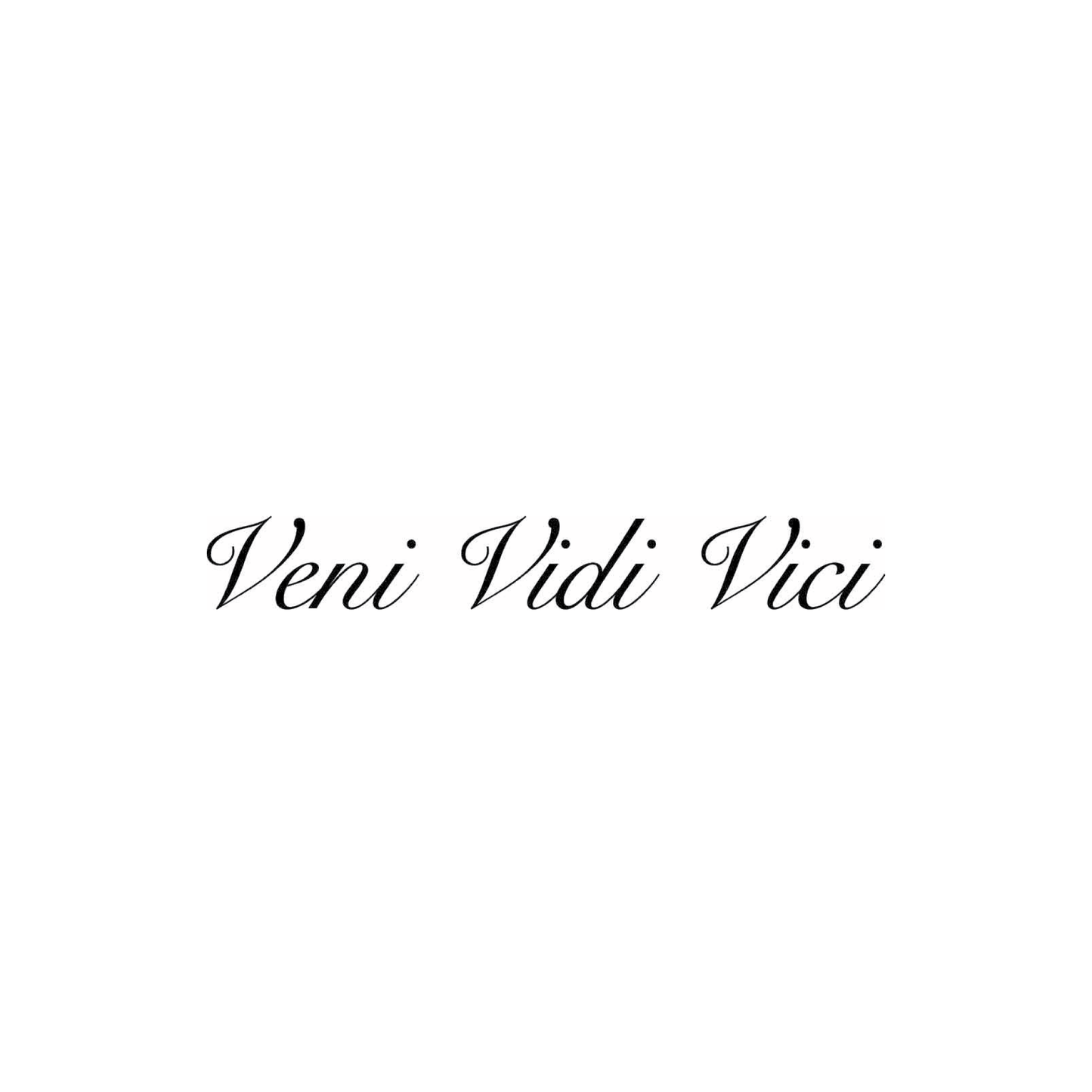 veni vidi vici