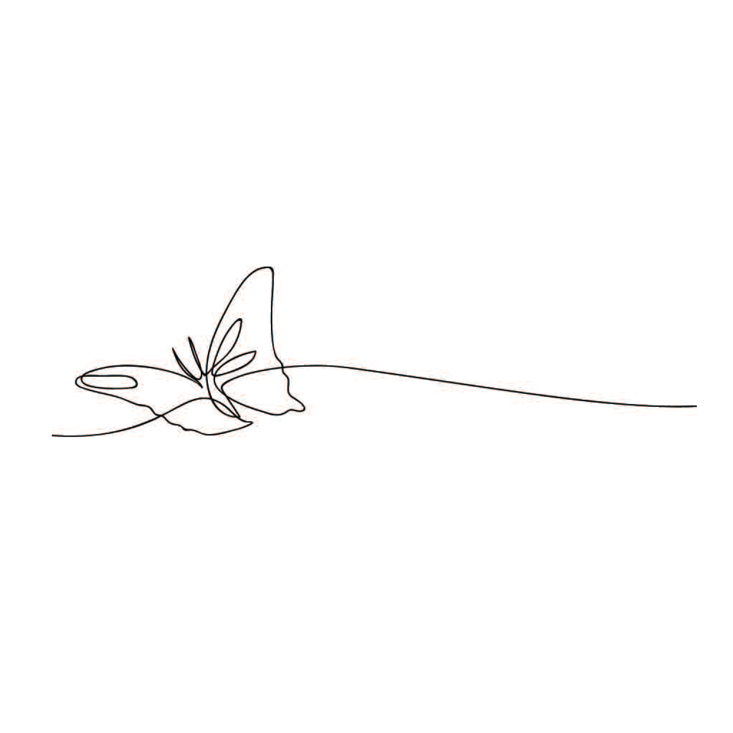 whimsy