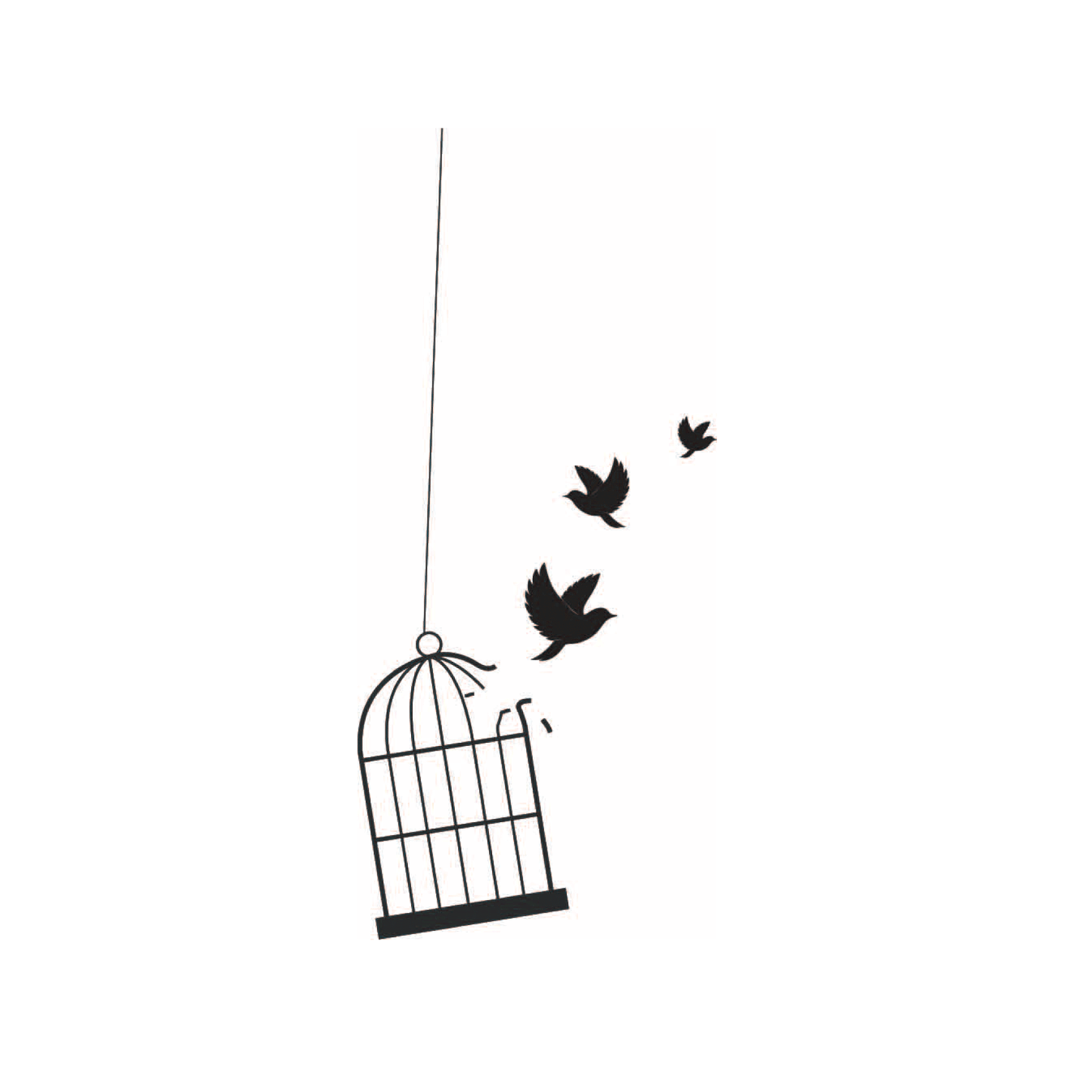 wypuść ptaki (zestaw 2 szt.)
