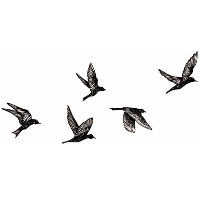 fly south