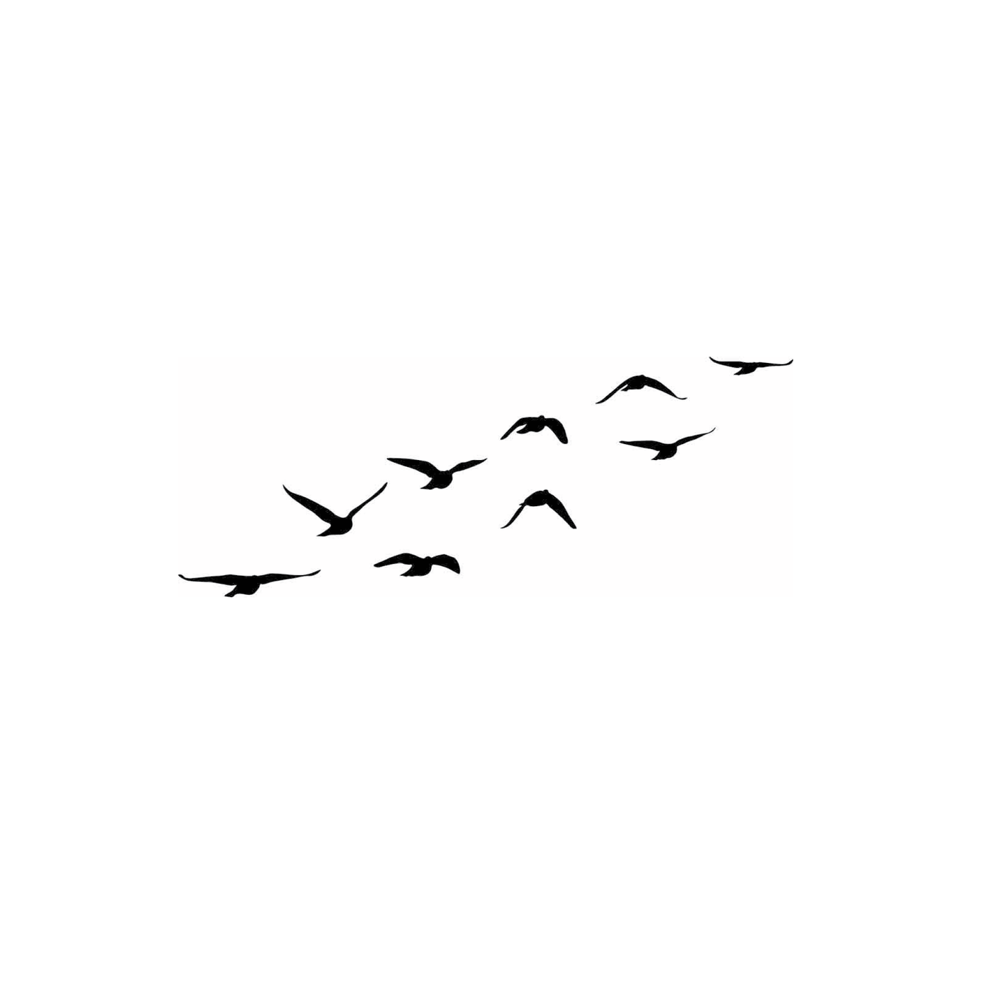 murder of crows (set of 2)