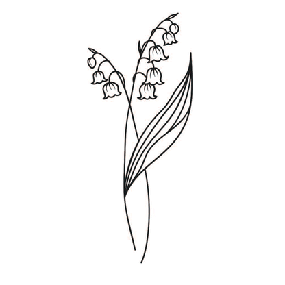 lily of the valley