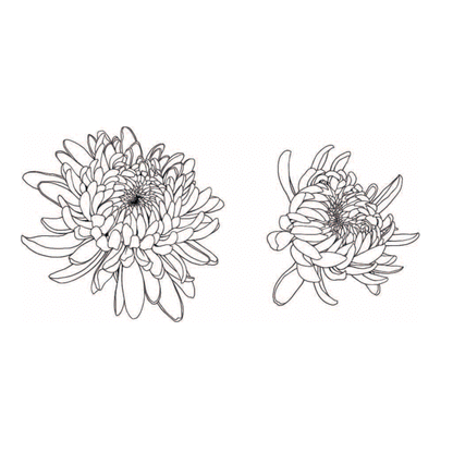 peonies (set of two)