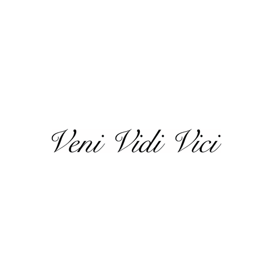 veni vidi vici