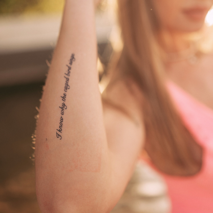 I know why the caged bird sings